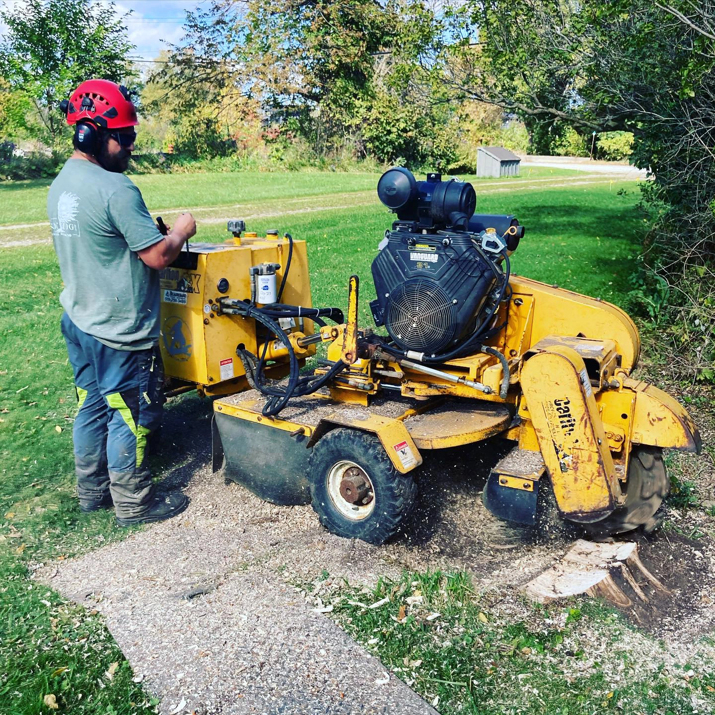 Arborist operating a stump grinder
